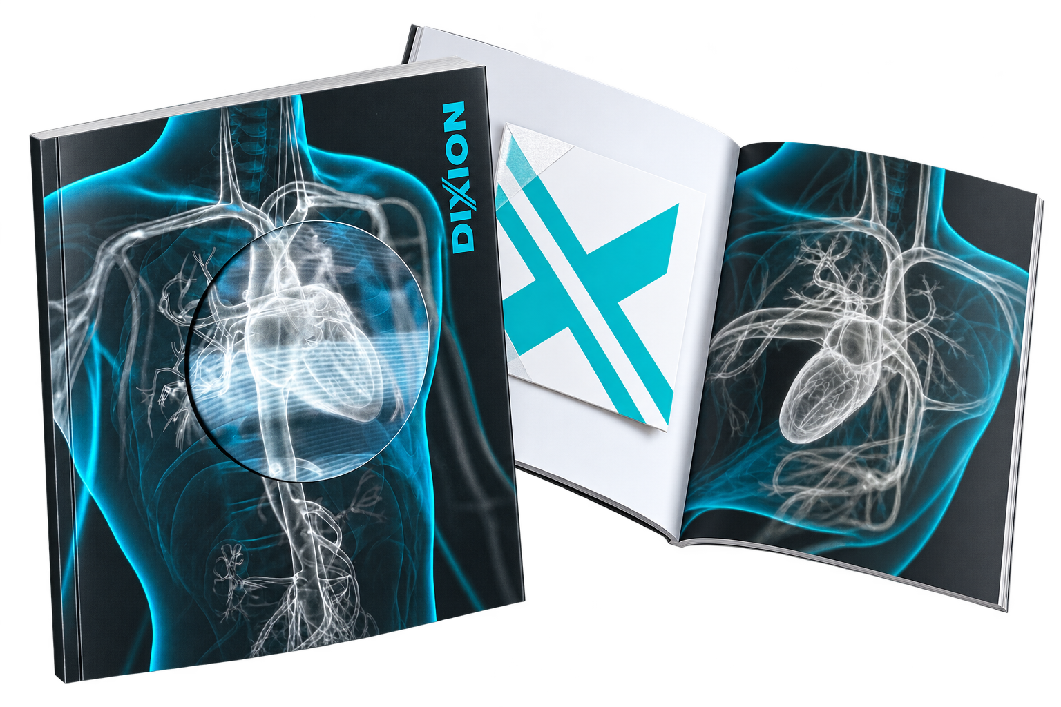 DIXION product catalogs