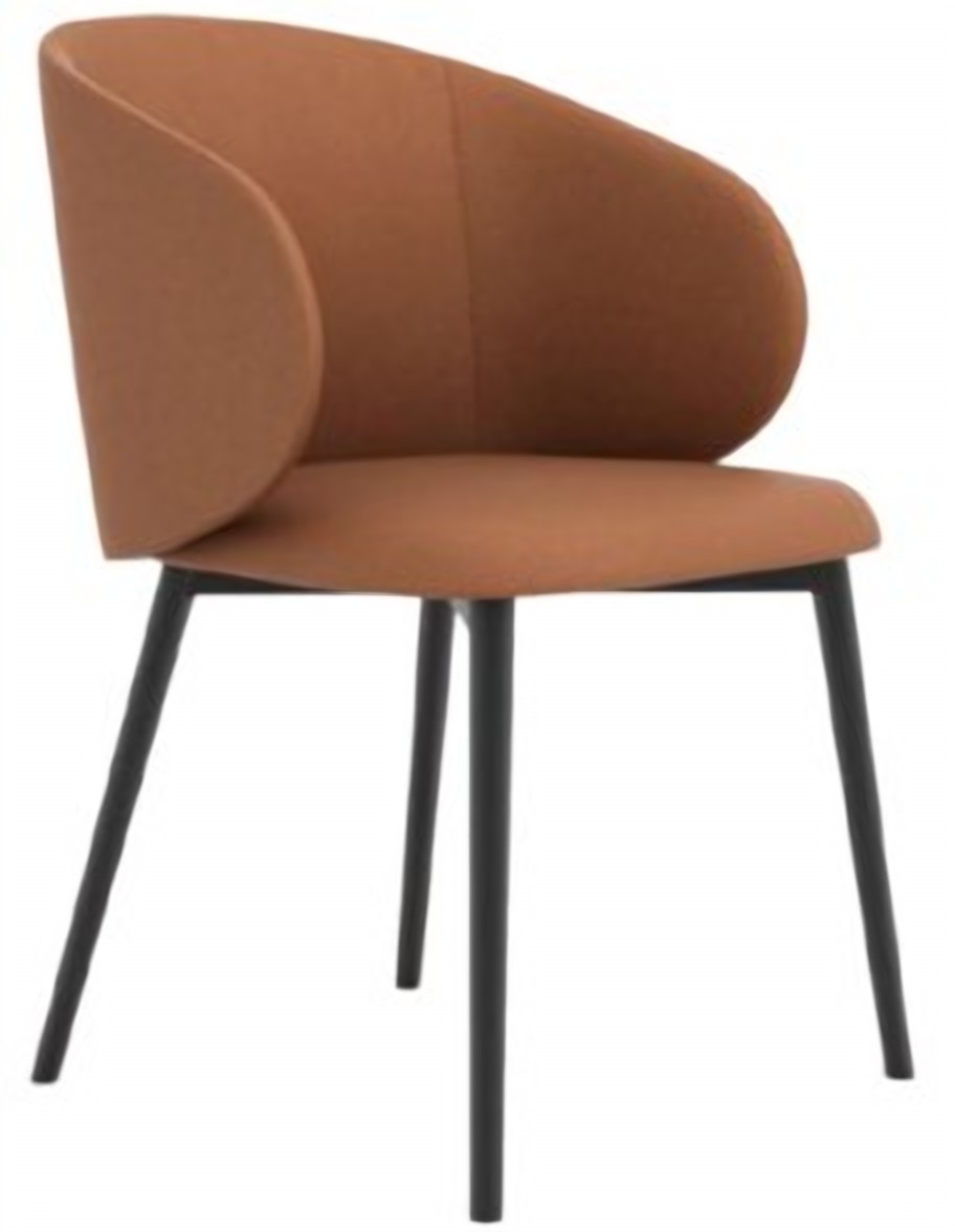 Chair DIXION Aula 4115